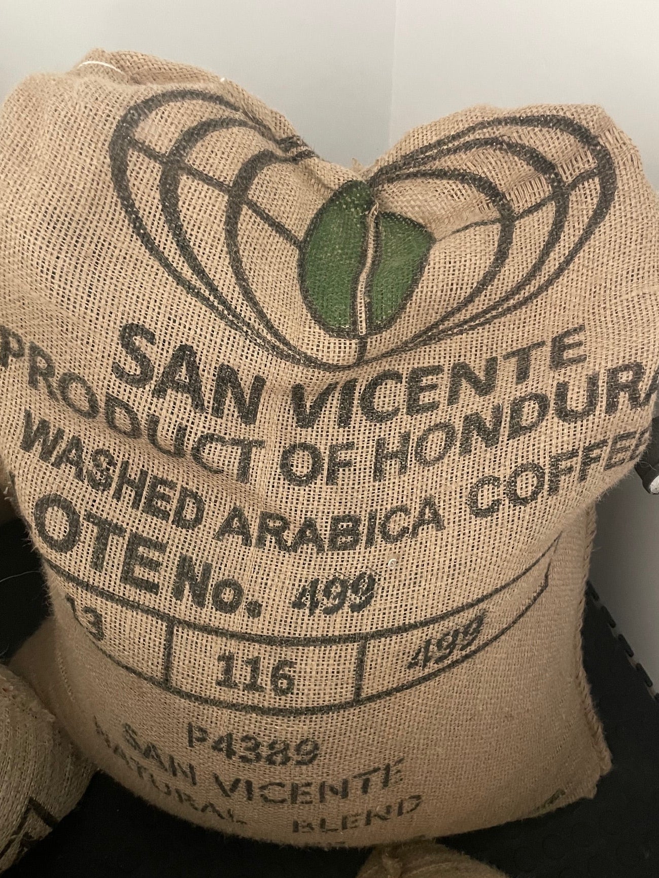 Honduran San Vicente