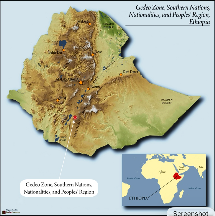 Ethiopia Yirgacheffe Banko Gotiti